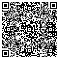 QR code with Avee contacts