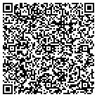 QR code with Pulaski Public Library contacts