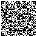 QR code with Amvets contacts