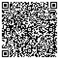 QR code with Lssi contacts