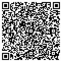 QR code with Amvets contacts