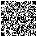 QR code with Cicero Public Library contacts