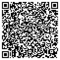 QR code with Tileco contacts