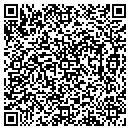 QR code with Pueblo Viejo Imports contacts