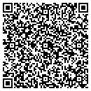 QR code with Punzal Corporation contacts