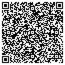QR code with Project Impact contacts