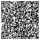 QR code with Boy Scout Troop 317 contacts