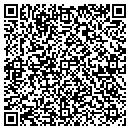 QR code with Pykes Driving Acedemy contacts