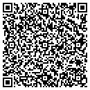 QR code with Premier Satellite contacts