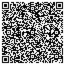 QR code with Chesney Steven contacts