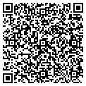 QR code with Ymca contacts