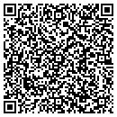 QR code with Y M C A contacts