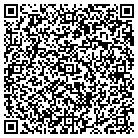 QR code with Professional Dynamics Inc contacts