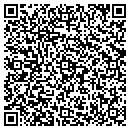 QR code with Cub Scout Pack 203 contacts