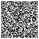 QR code with Premier Driving School contacts