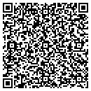 QR code with Cobblestone County Fcu contacts