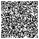 QR code with Cub Scout Pack 294 contacts