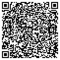 QR code with Ymca contacts