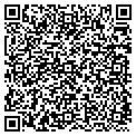 QR code with Ymca contacts
