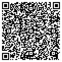 QR code with Amplify contacts