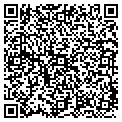 QR code with Ymca contacts
