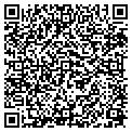 QR code with Y M C A contacts