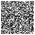 QR code with Ymca contacts