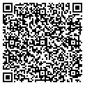 QR code with Y W C A contacts
