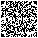 QR code with Ptoc Birch Elementary contacts