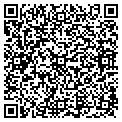 QR code with Ymca contacts