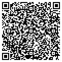 QR code with Y M C A contacts