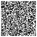 QR code with Premier Vending contacts