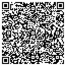QR code with Cub Scout Pack 132 contacts