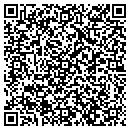 QR code with Y M C A contacts