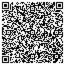 QR code with Cub Scout Pack 320 contacts