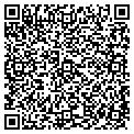 QR code with Ymca contacts