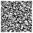 QR code with Constellation Vending contacts