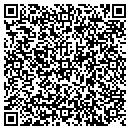 QR code with Blue Penguin Vending contacts
