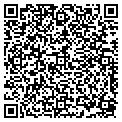 QR code with Msgcu contacts