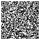 QR code with Stark Carpet contacts