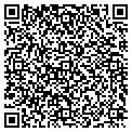 QR code with Sedol contacts