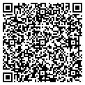 QR code with Y M C A contacts