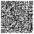 QR code with Ymca contacts