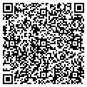 QR code with Ymca contacts