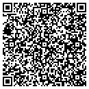 QR code with Carpet One Pinnells contacts