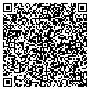 QR code with Pro Careers contacts