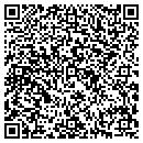 QR code with Carters Carpet contacts