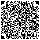 QR code with Professional Automobiles contacts