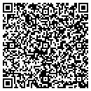 QR code with Princess Carpet contacts