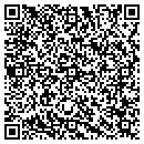QR code with Pristine Pool Service contacts